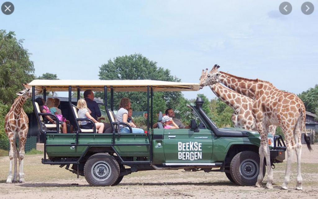 Beekse Bergen Safari (10 minute drive)