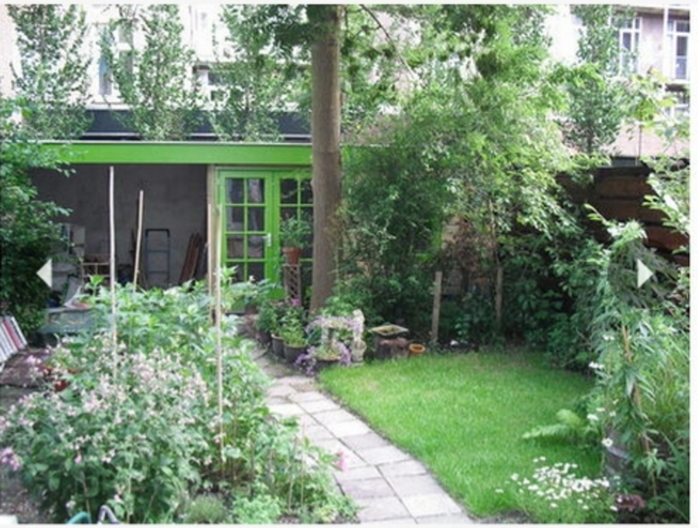 garden looking south