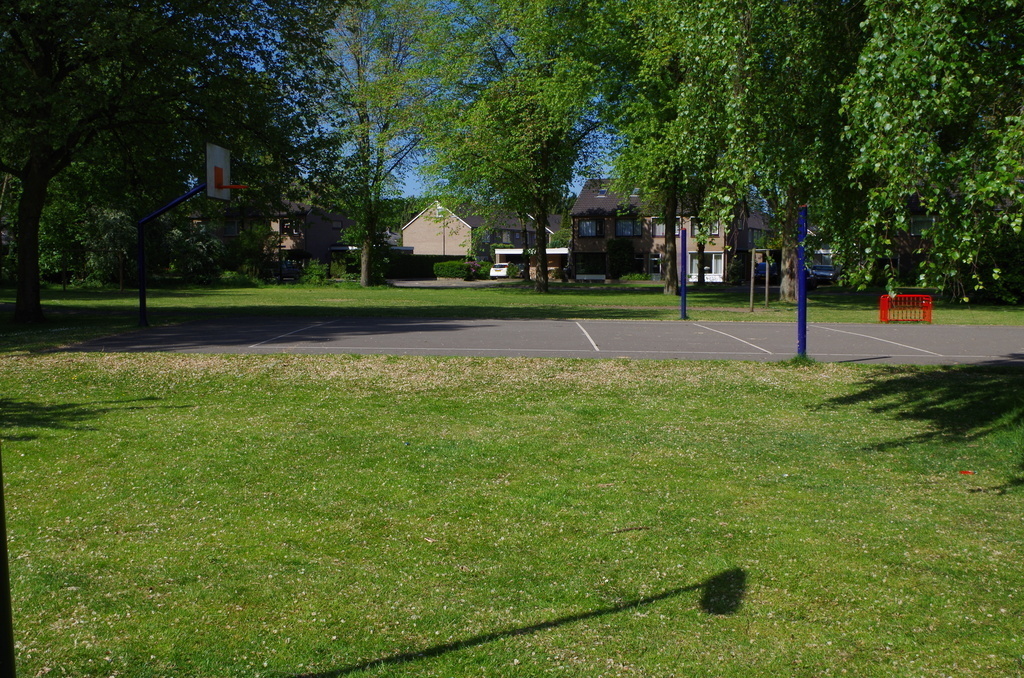 Quiet parc in front of the house