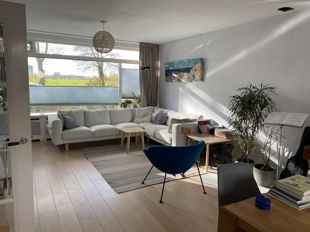 Living room seating area