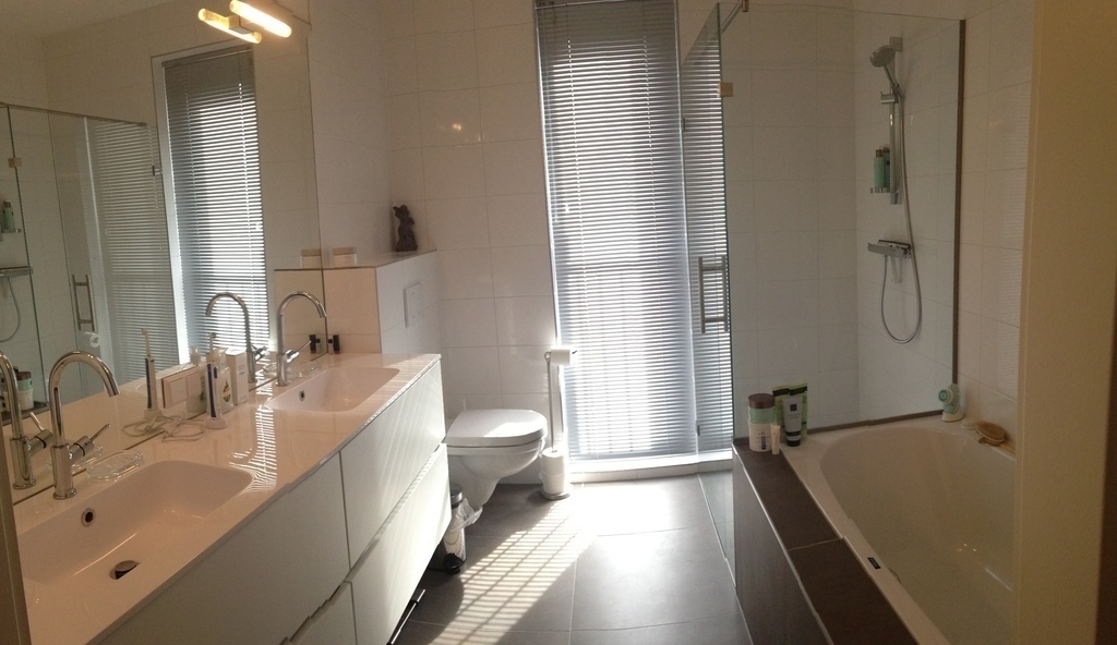 bathroom (toilet, bath, separate shower)