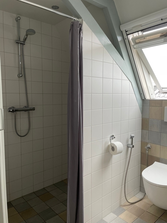 Bathroom no. 1 (shower)