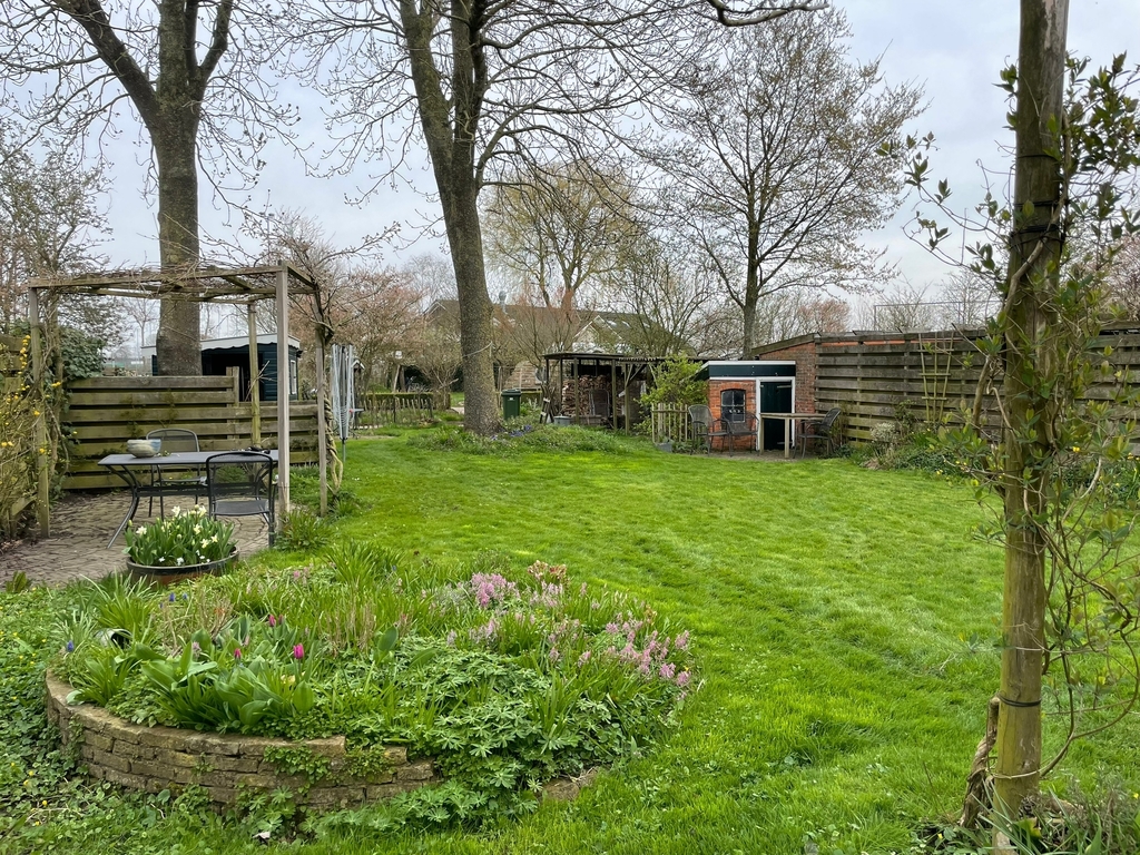 Garden at the back