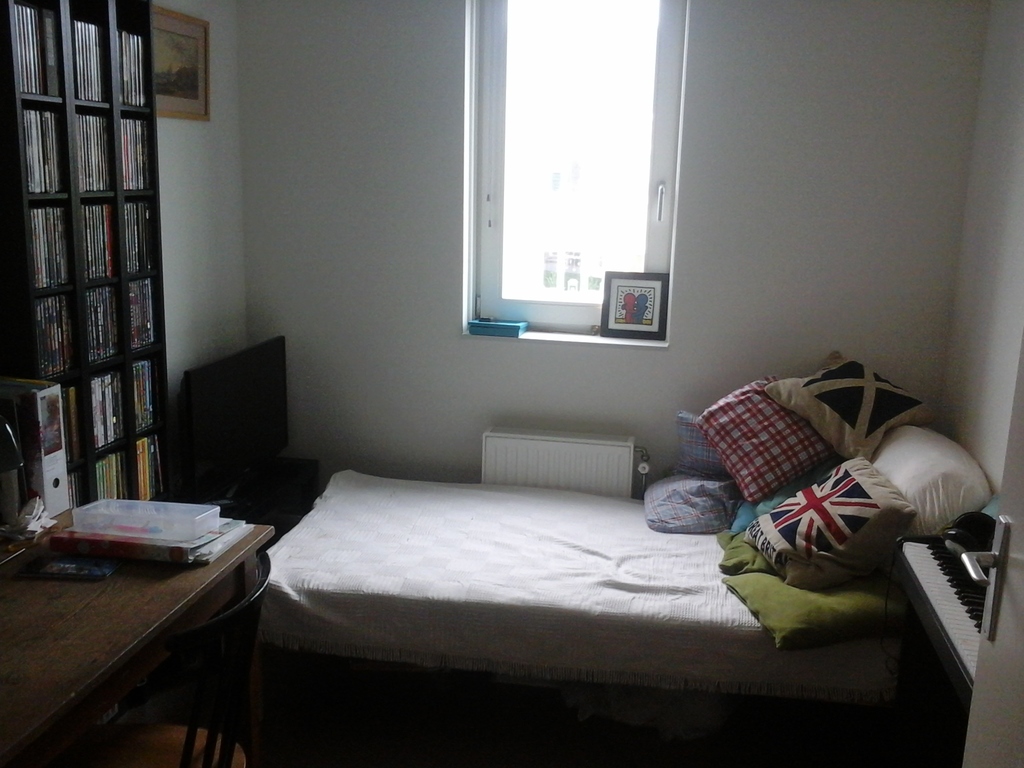 Guest room with TV, Netflix, HBO, Disney+, Wii, DVD, and elec. piano (single bed)