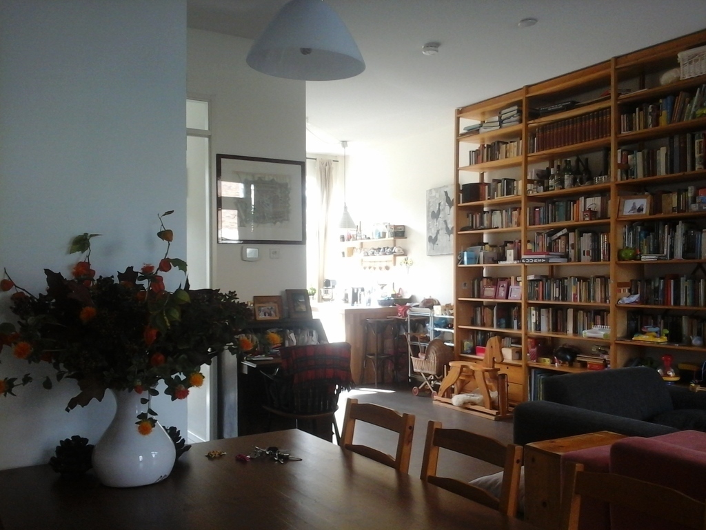 Living room with dining area