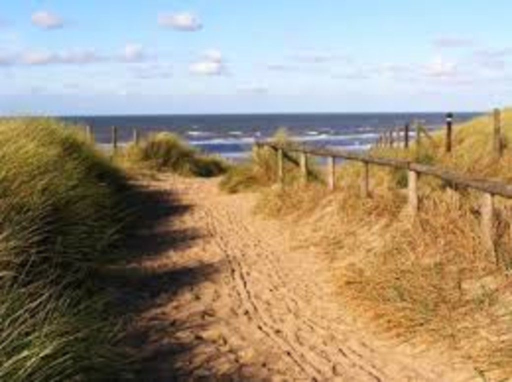 North Sea beaches; Wassenaar, Den Haag, Katwijk, Noordwijk (from 7,5 km away; depends on which one you choose).