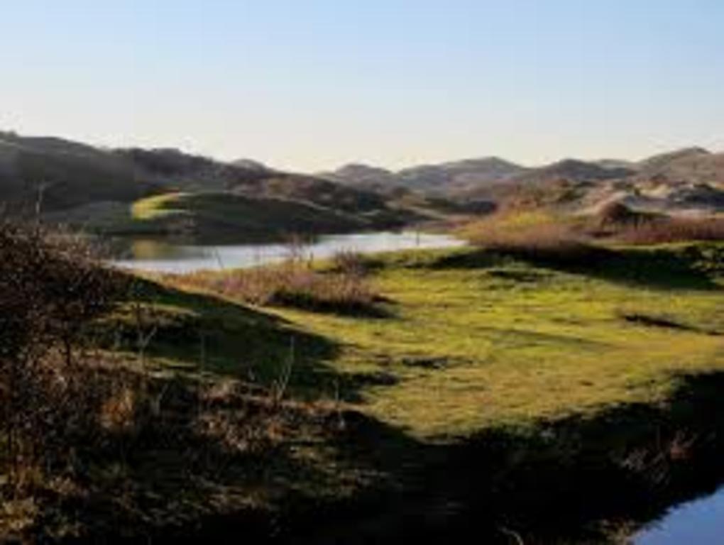 Meyendel; dunes and forest area, with playgrounds, pancake house and a climbing trail for young children. (Wassenaar)