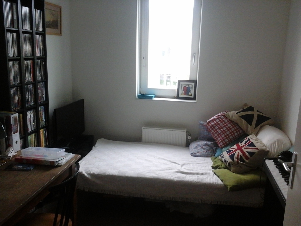 Guest room with TV, Netflix, HBO, Disney+, Wii, DVD, and elec. piano (single bed)