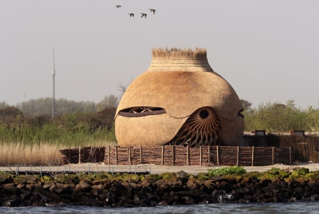 Stellendam birdspot 10 min drive