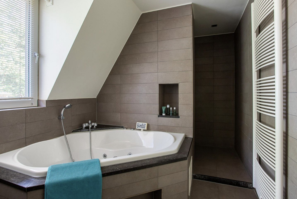 Bathroom with jacuzzi and rain shower