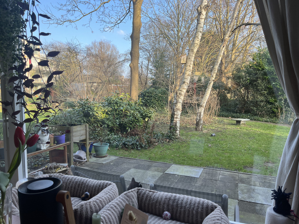 uitzicht vanaf de woonkamer