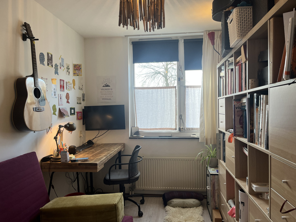 de logeer/werk kamer (met uitklapbank)