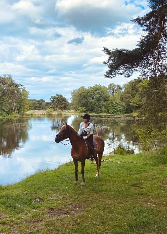 Er op uit te paard in het veen