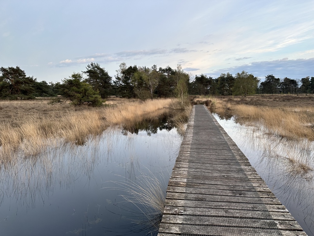 Haaksberger Veen