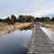 Haaksberger Veen