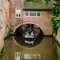 The canals of Den Bosch
