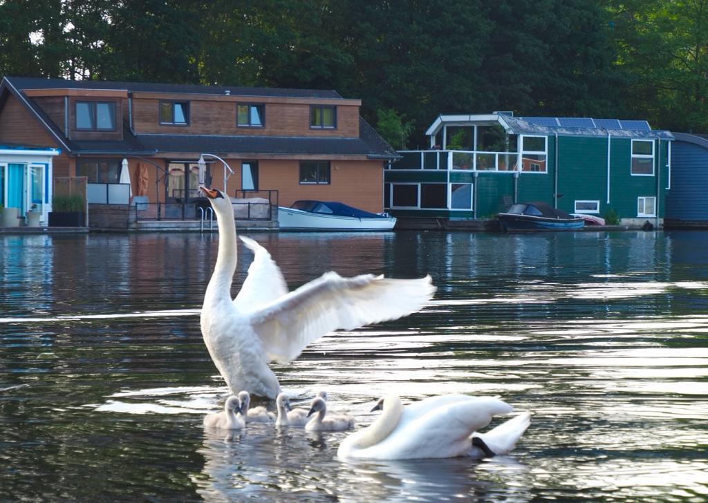 the green boat is our houseboat