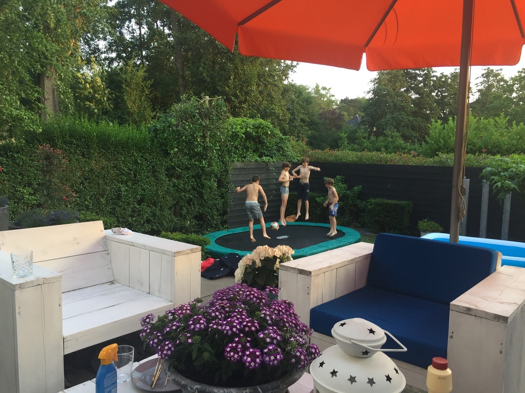 Garden seen from the terrace 