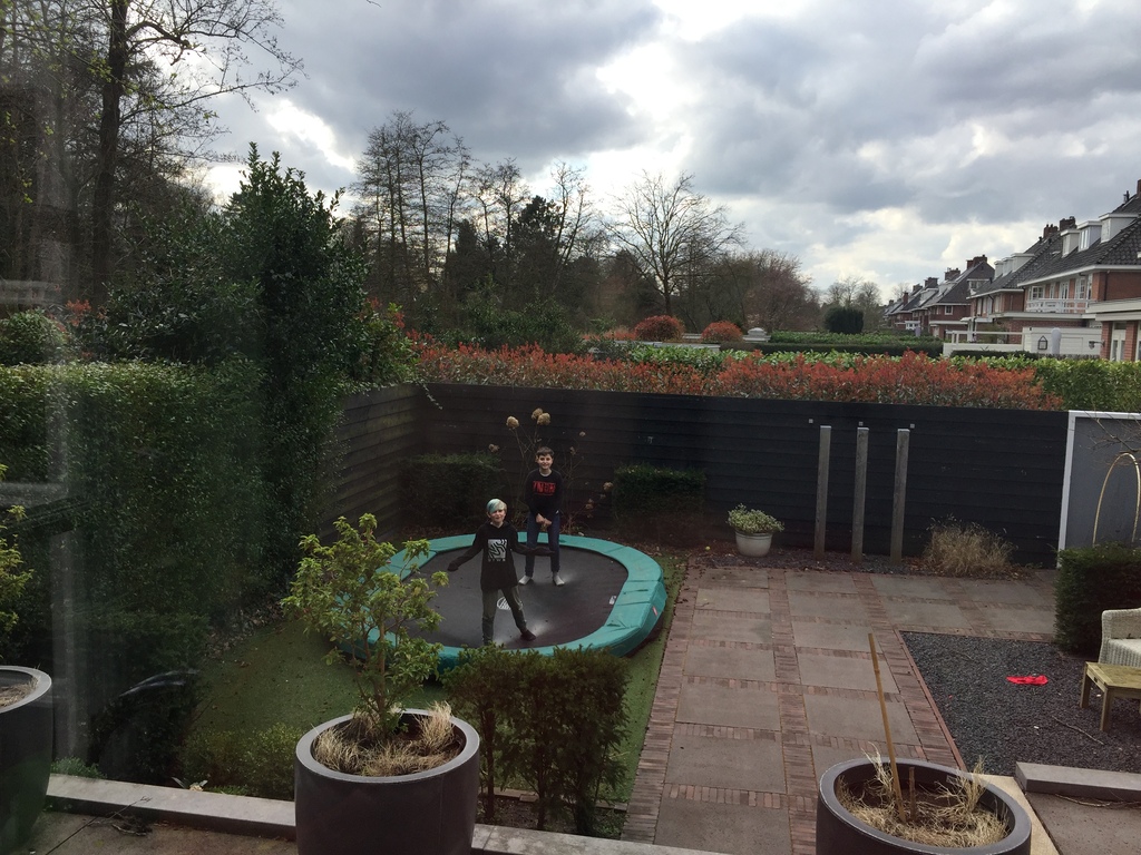Trampoline in the backyard
