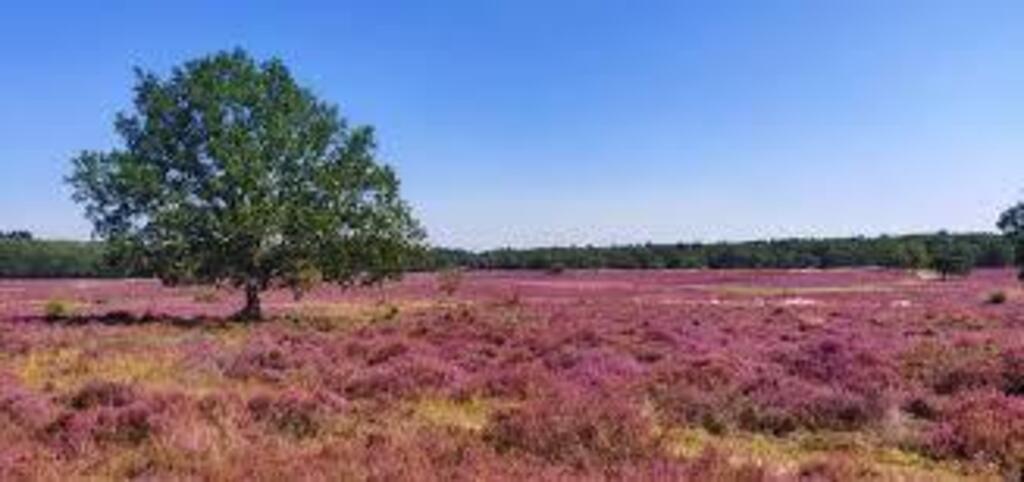 Nature close by, walking distance