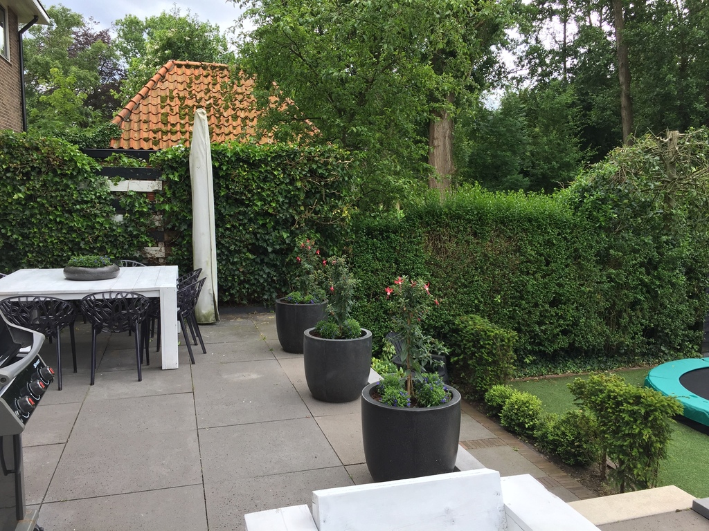 Terrace/ dining area