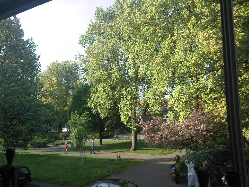 Uitzicht op het plein