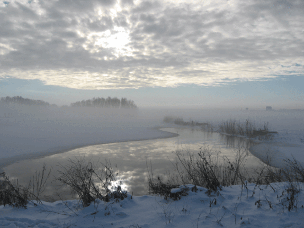 De uiterwaarden, aan de andere kant van de dijk.