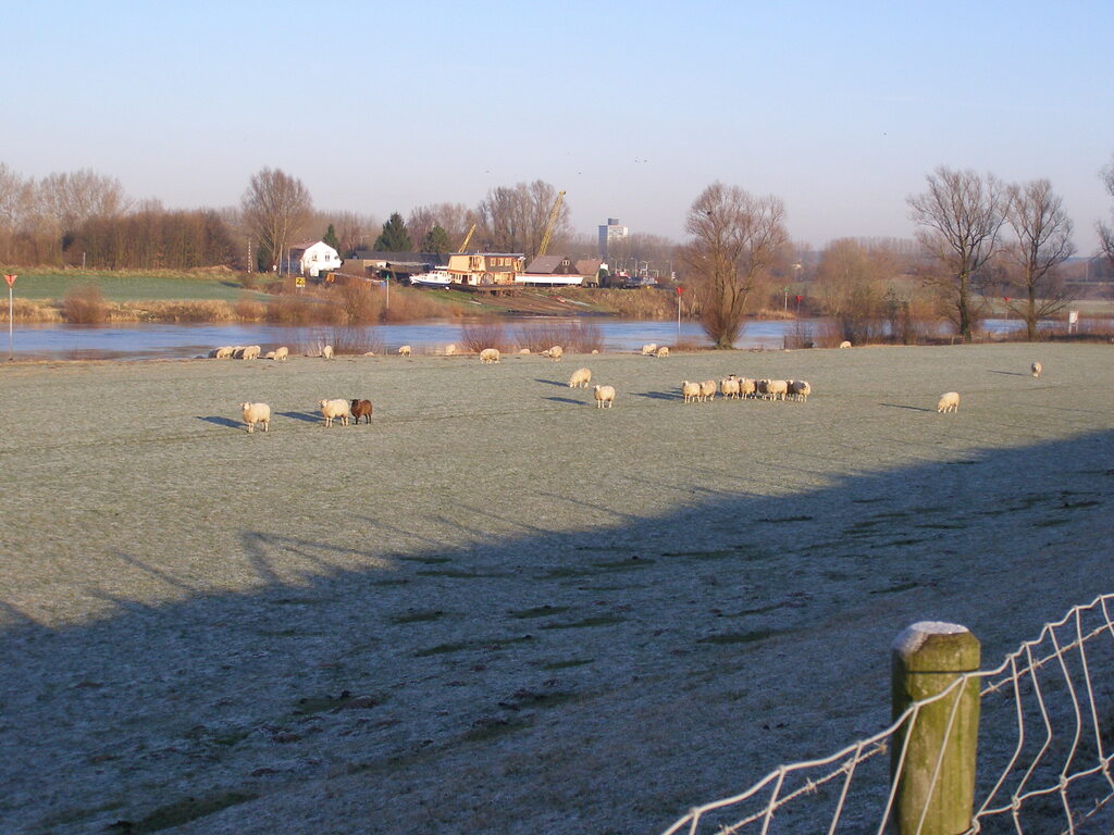 De rivier de Rijn, 5 minuten lopen.