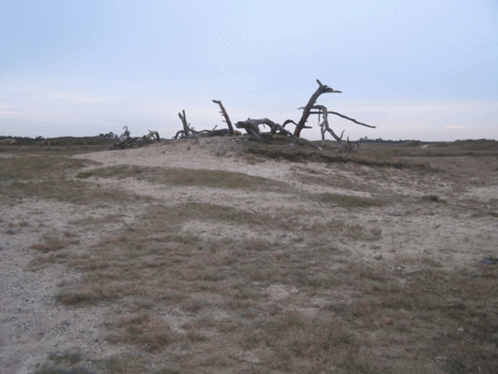 Nationaal park De Hoge Veluwe, 25 km
