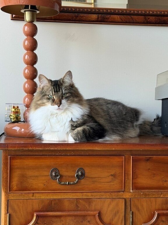 This is our firstborn, Sammy