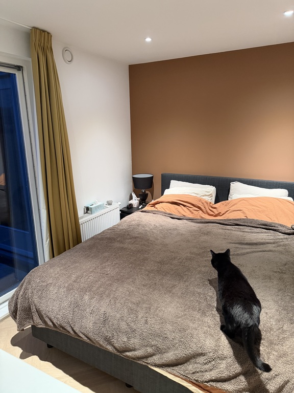 Master bedroom + Jimmy