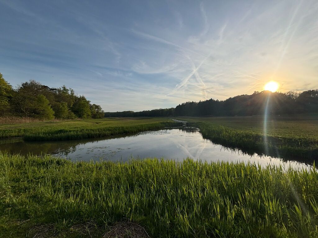 Middenduin (medium walk)