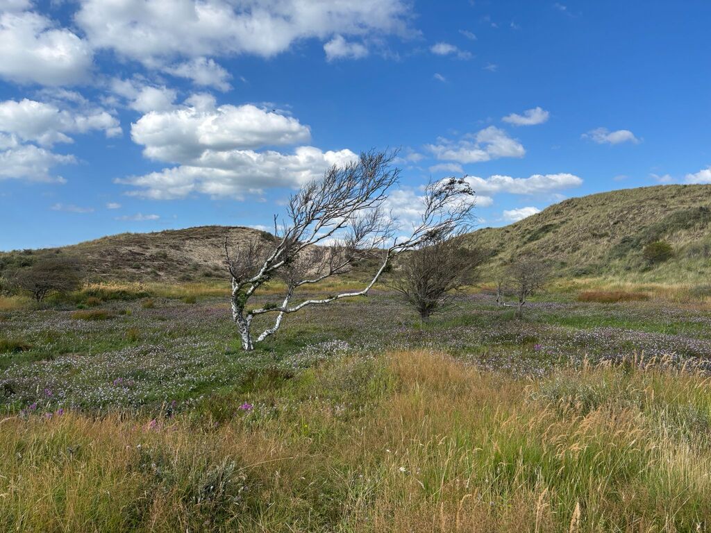 National Park (hiking distance)
