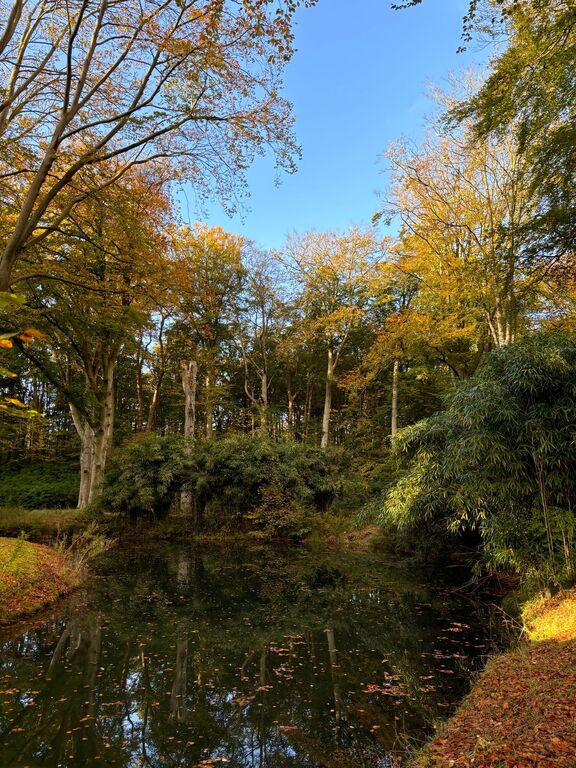 Elswout (short walk)
