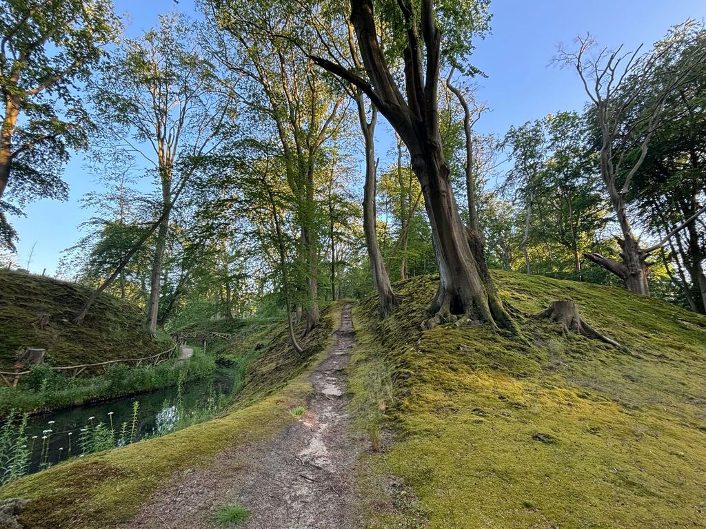Elswout (short walk)