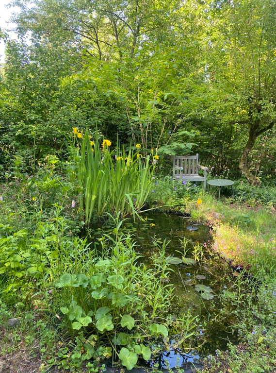 Een van de fijne plekjes in de tuin op warme dagen