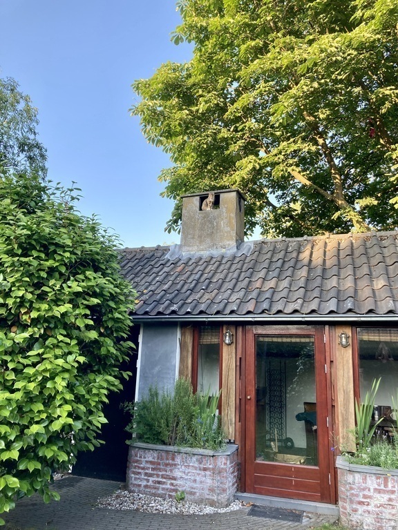 Our gardenhouse in spring