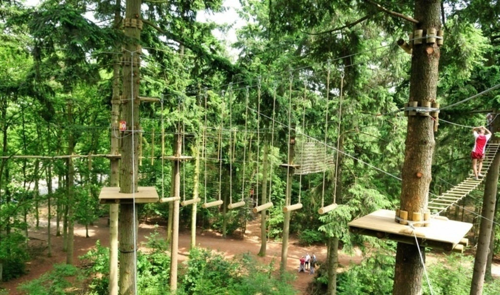 Climbing forest in Lage Vuursche, nice activity with kids