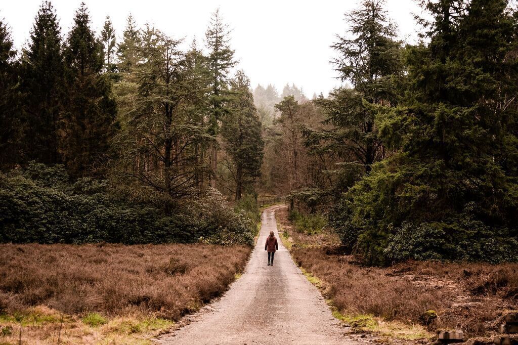 Utrechtse Heuvelrug - many hike options close to Baarn