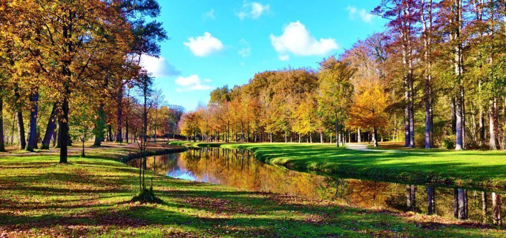 The woods surrounding Castle Groeneveld