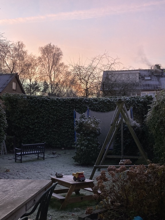 Our garden in winter