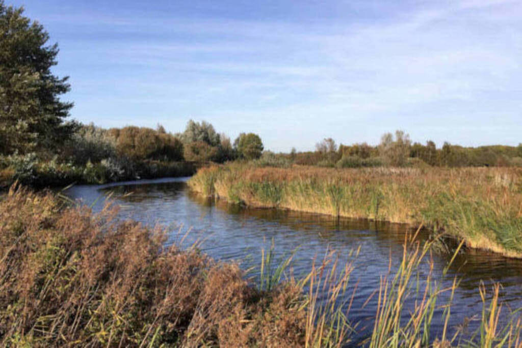 Nature area 't Twiske close to our home