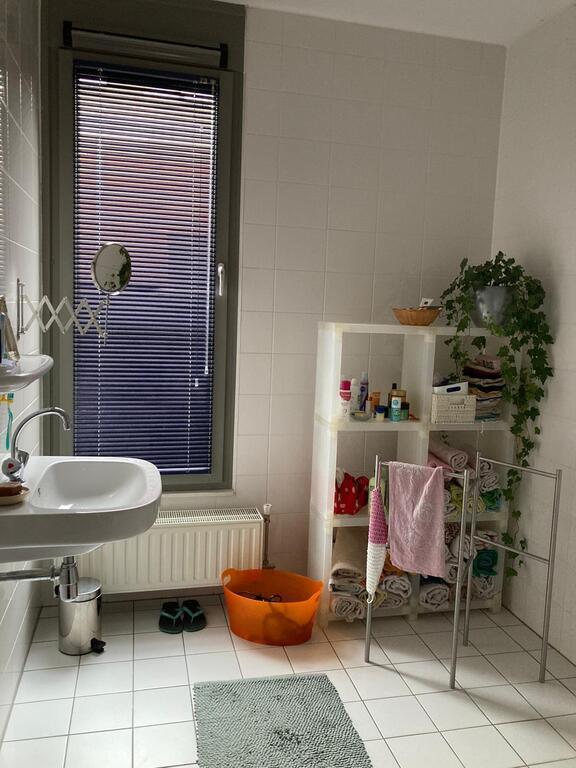 Badkamer/Shower (no bathtub)