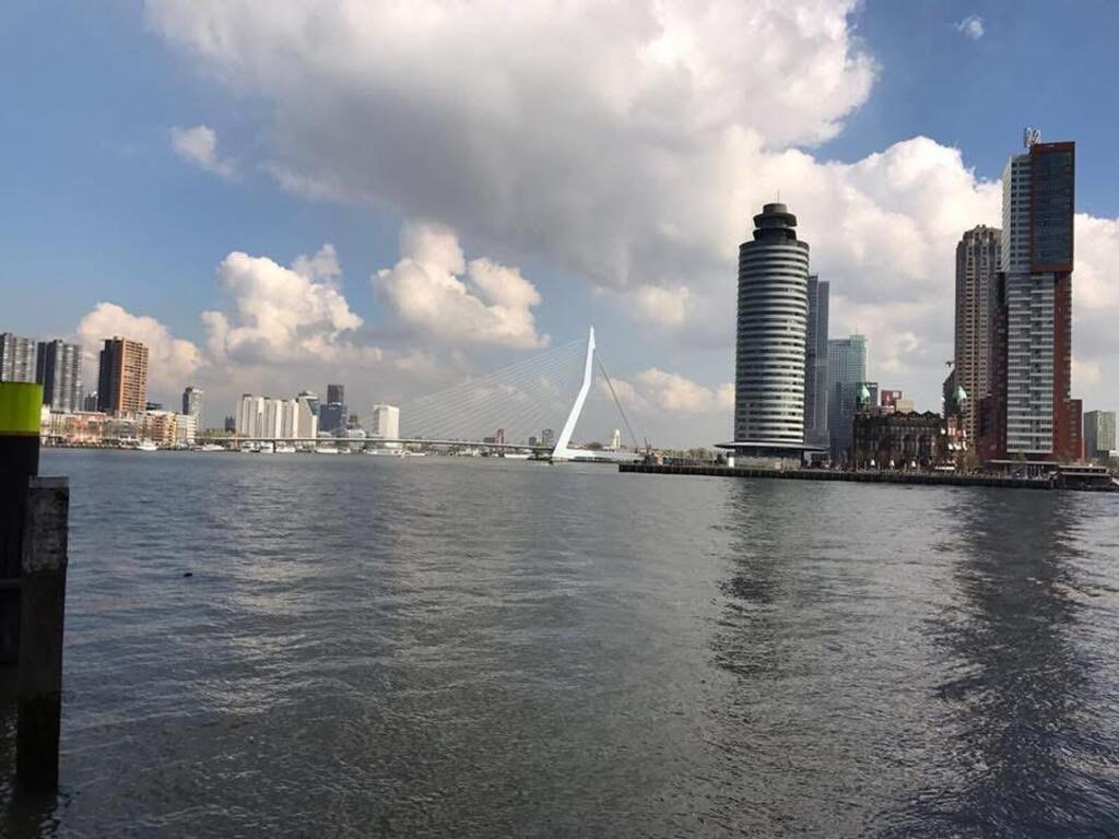 Rotterdam (40 minutes by train)