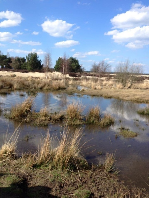 De Loonse en Drunense Duinen