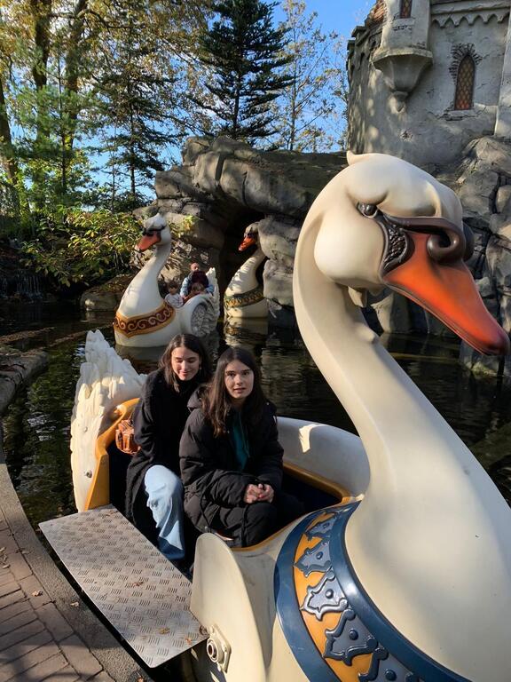 Themeparc De Efteling: world of fairytales and storytelling rollercoasters.