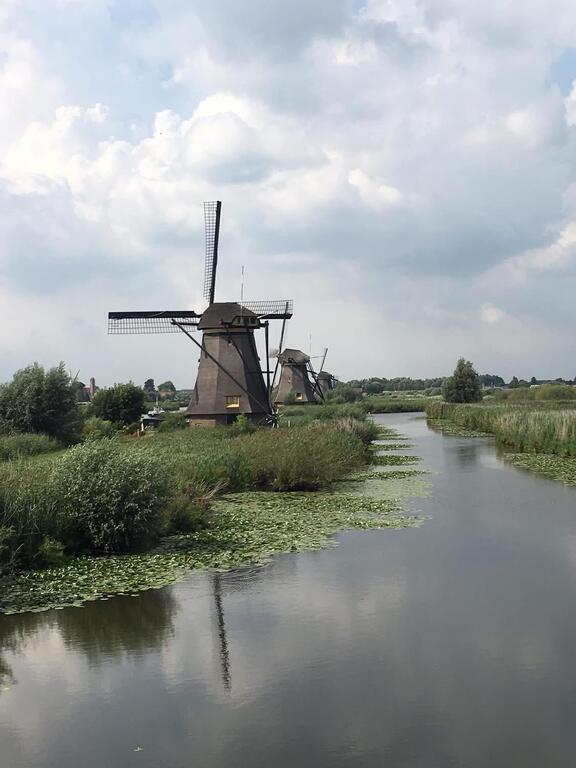 World heritage Kinderdijk (1 hr by car, or public transport)