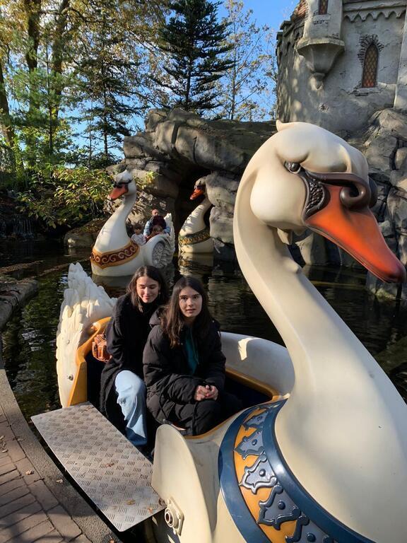 Themeparc De Efteling: world of fairytales and storytelling rollercoasters.