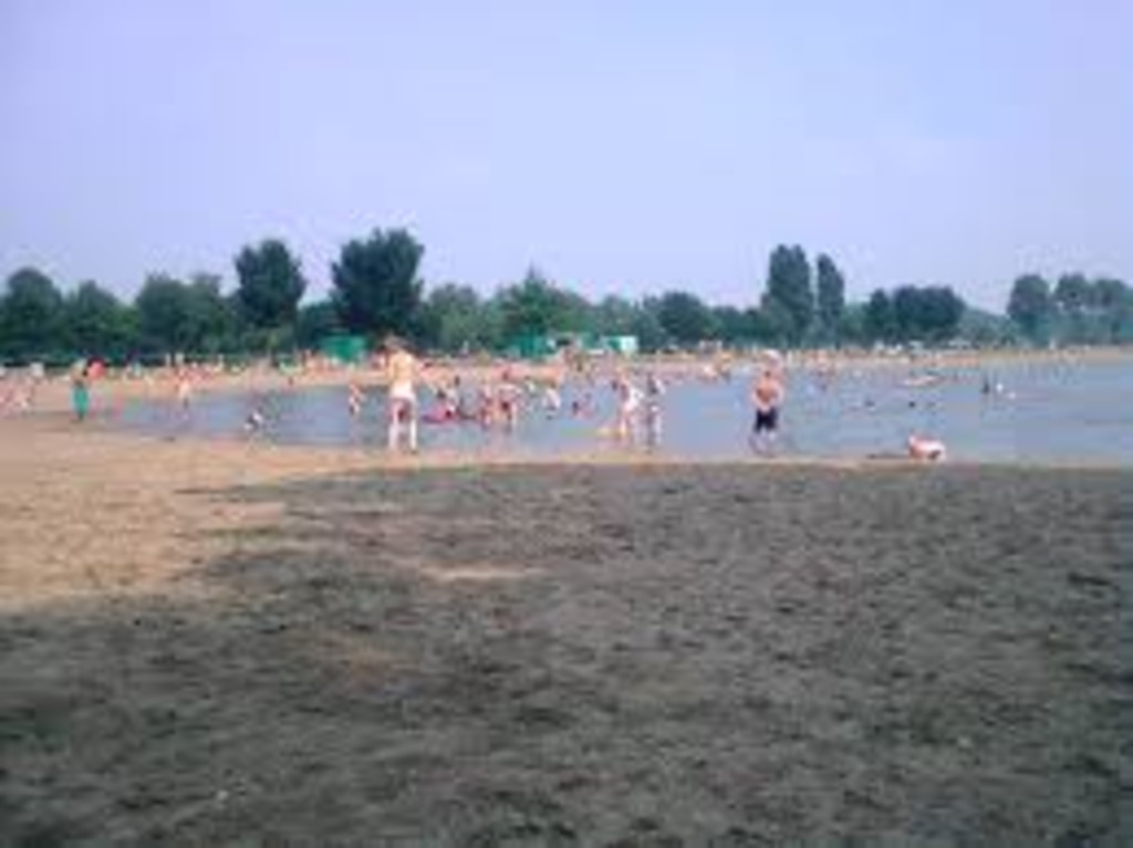 rijkerswoerdse plassen