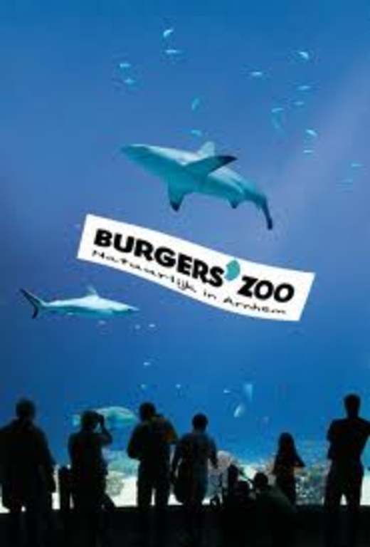 BurgersZoo